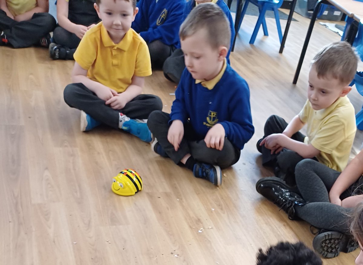 Year 1 enjoyed using the Bee-Bots for the first time today! #STAsparkle
