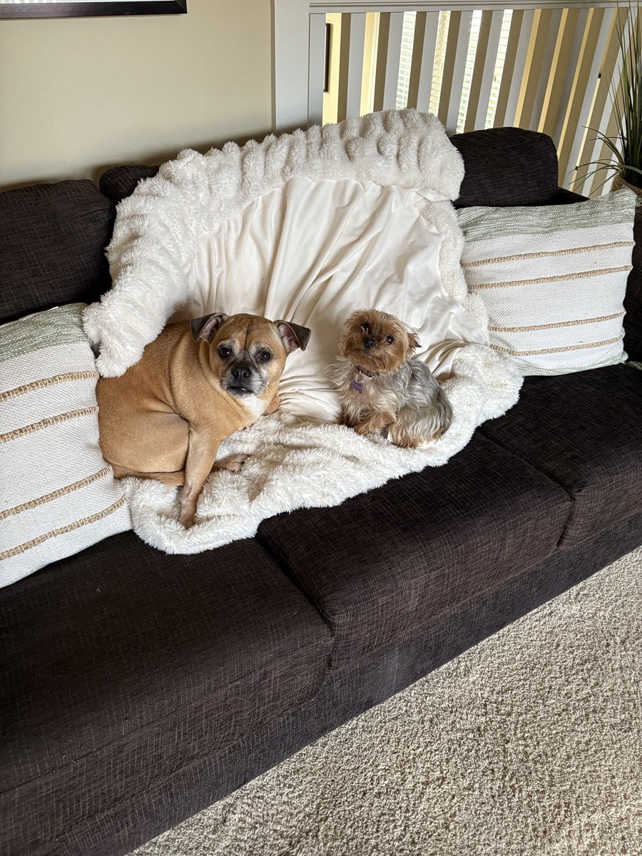 It’s too cold outside, but snuggly inside!!🐕🐕