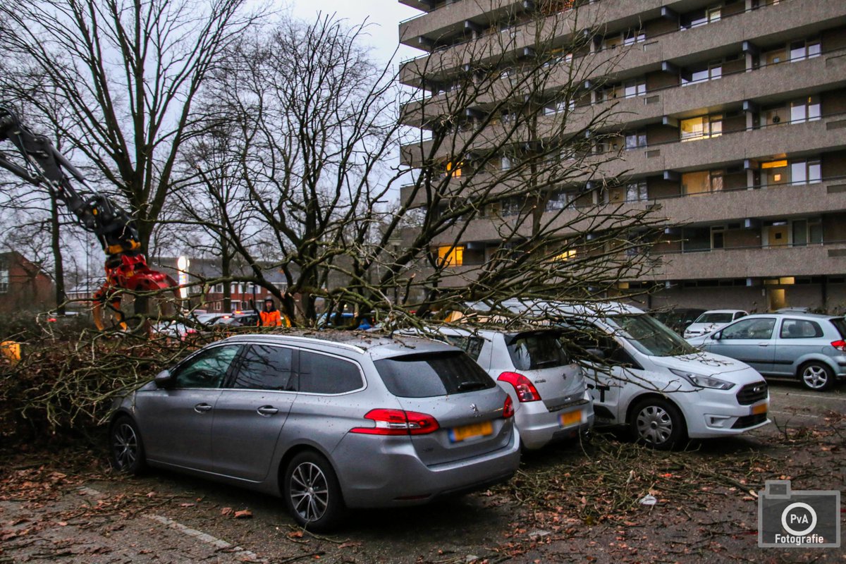 Boom valt op auto's in Apeldoorn