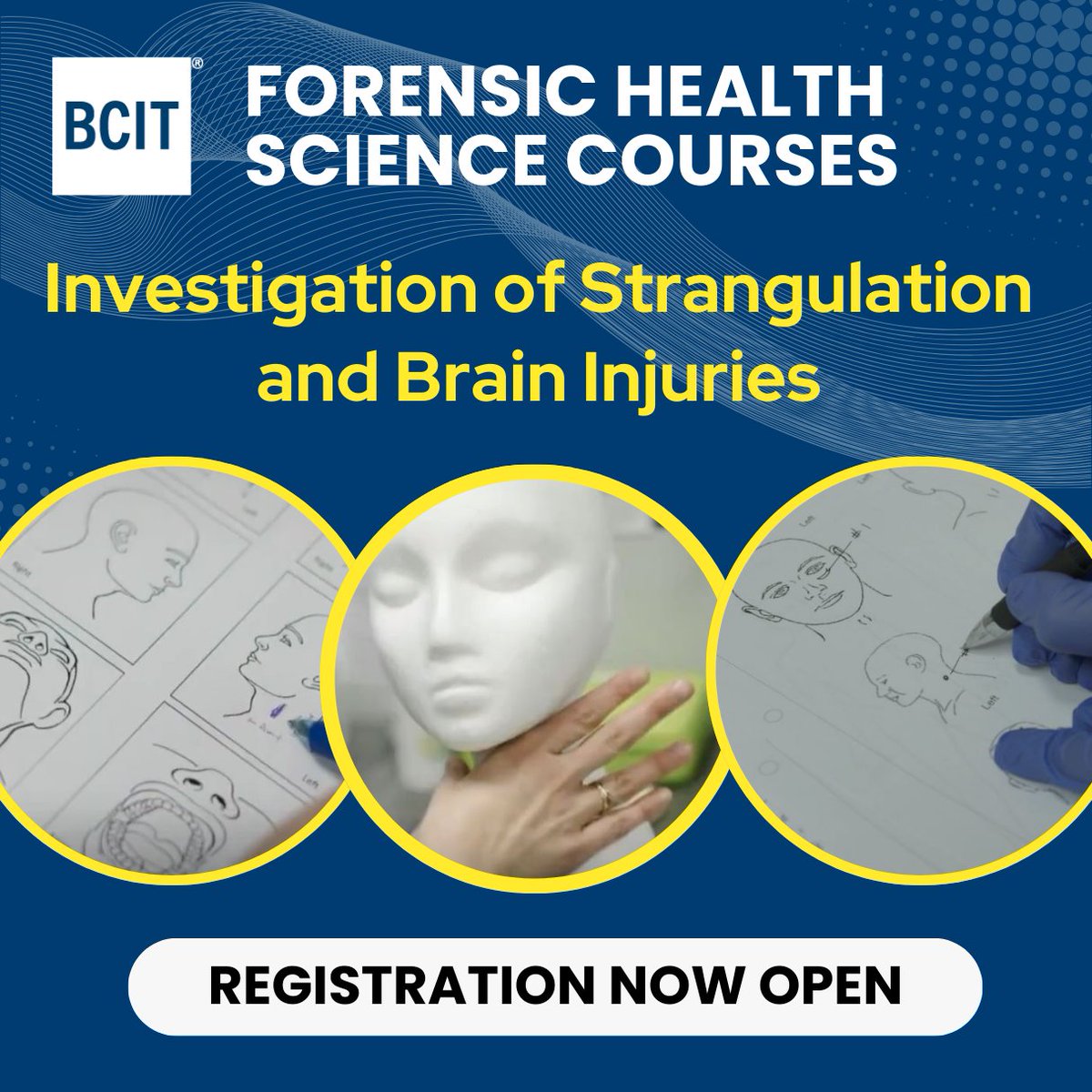 BCITForensics tweet media