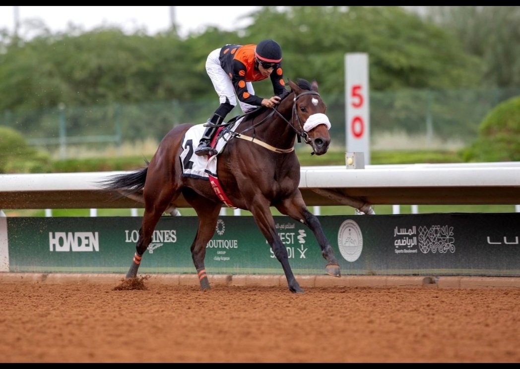 المهرة المحاربة✨️✌️✨️
مسمية تستحق هذا اللقب
نظير مستواياتها الثابتة والمتصاعدة والتي توجتها مؤخراً بوصافة المرعبة متظبطة في كاس الملك فهد
تستحق هذه المهرة تسليط الأضواء عليها🎗🧲🎗
امامها موقعة منتظرة في تاج البطولات السعودية (كاس المؤسس)🔥🧲🔥
ومدربها فهد مسلط من المدربين