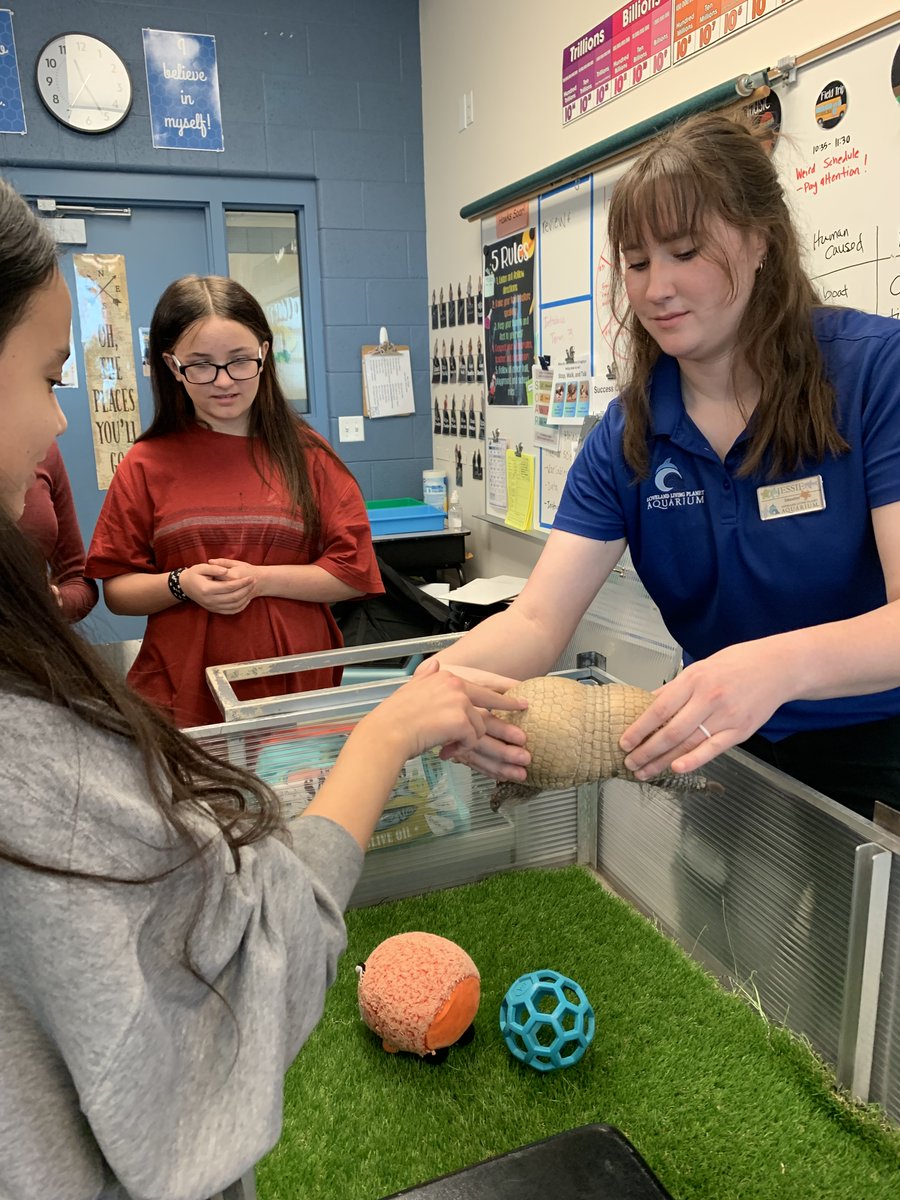 SpringCreekPCSD's tweet photo. 6th grade had the opportunity to learn about eco systems from the Loveland Aquarium. They brought some critters to see and touch!

6º grado tuvo la oportunidad de aprender sobre los sistemas ecológicos del Acuario de Loveland. ¡Trajeron algunas criaturas para ver y tocar! https://t.co/gCRDasaOR5