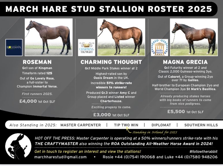 💥Due to a couple of cancellations due to the weather our stallion parade 12th January is being cancelled. 

However please email us and freely visit and view the stallions at your availability. 

💣 To book a private viewing email marchharestud@gmail.com 

#followtherabbit 🐇