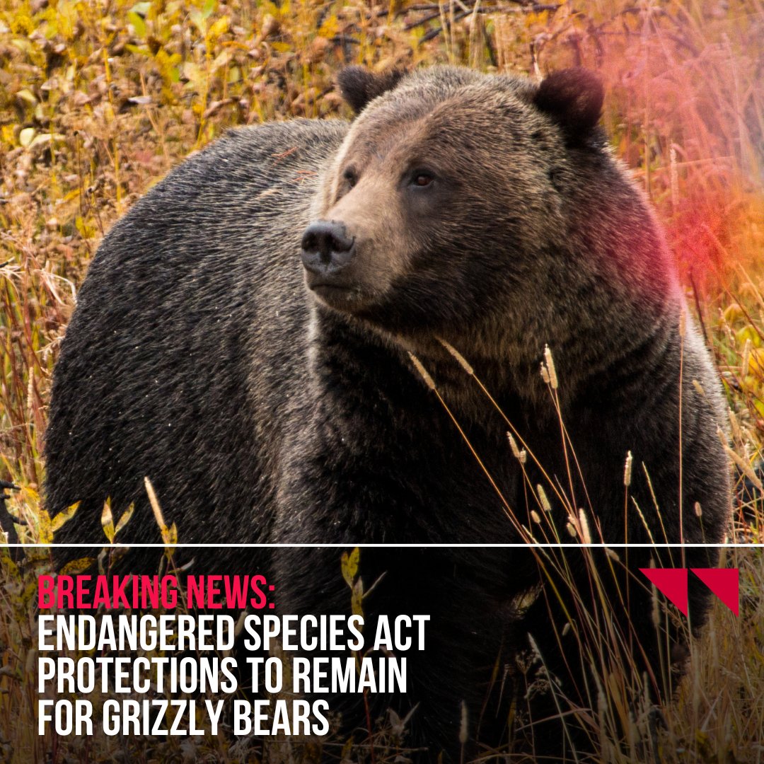Defenders of Wildlife tweet media