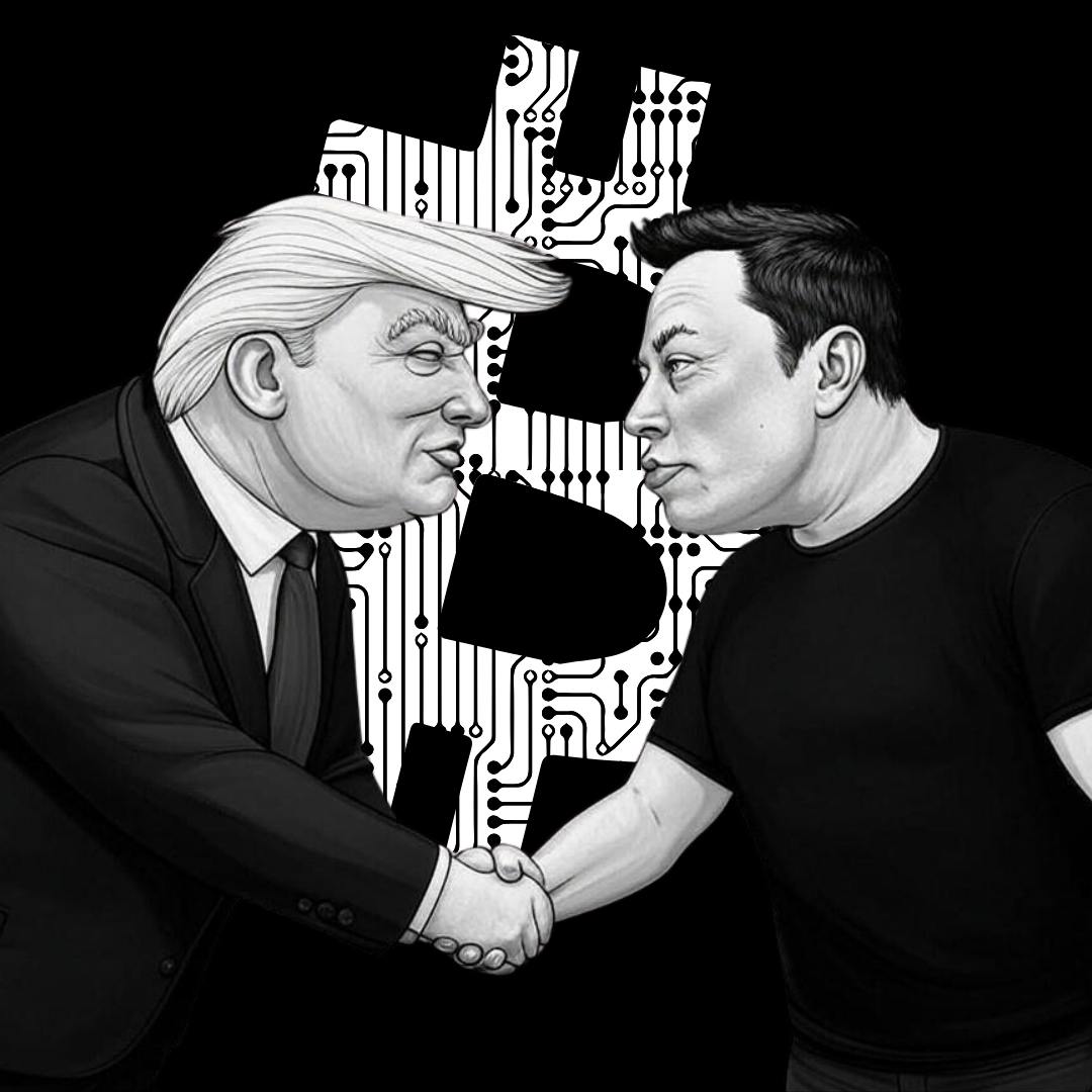 WhaleTrumpFart's tweet photo. When $WTF meets Bitcoin bromance https://t.co/HODQZI4z7t