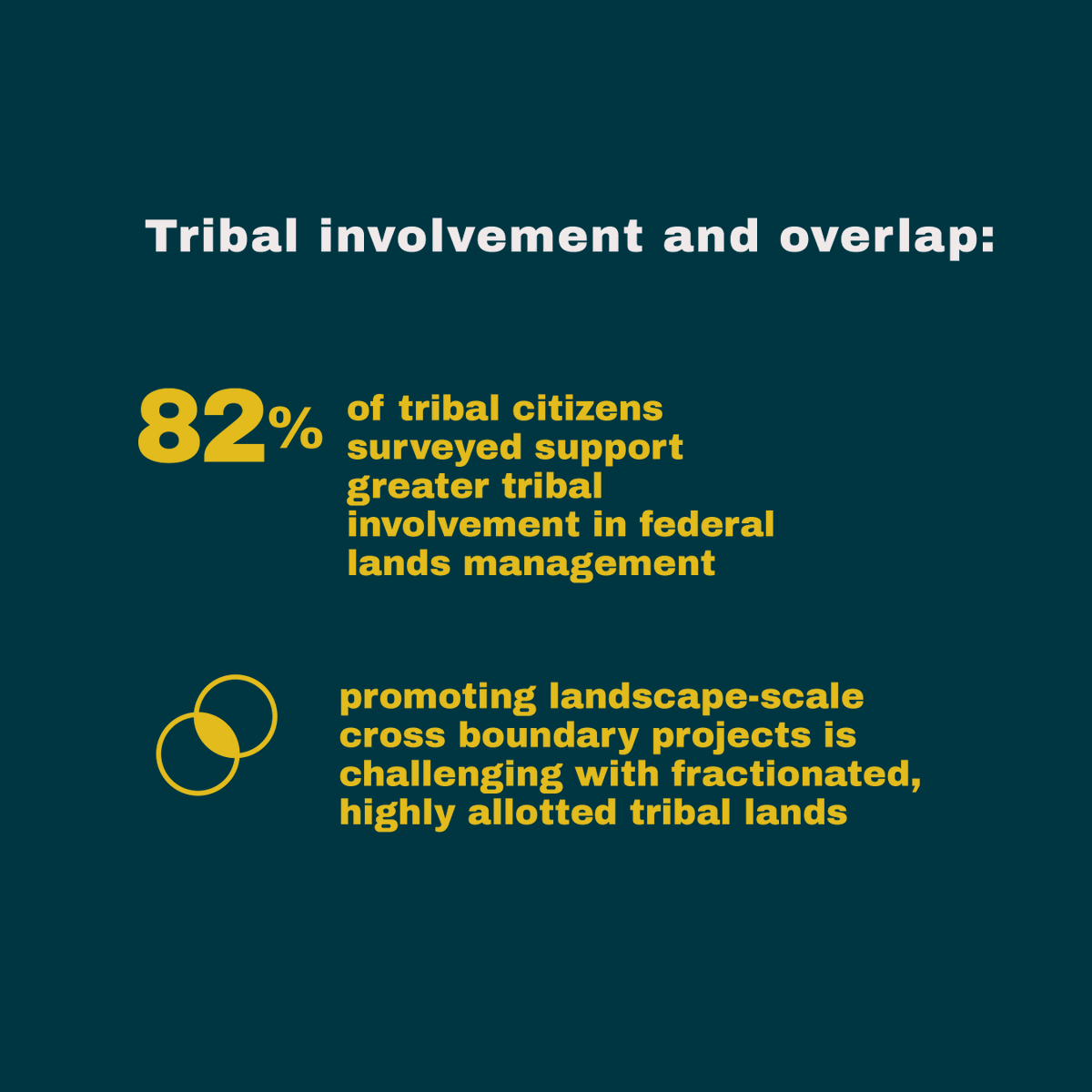 Intertribal_TC's tweet image. Tribes are bringing innovation to forest management through cultural stewardship. 🚨But they need more support from federal agencies for the work to continue.🚨 Explore more in an ArcGIS StoryMap on Tribal Forestry: arcg.is/0fn985 #BIA #IFMATIV #Forestry