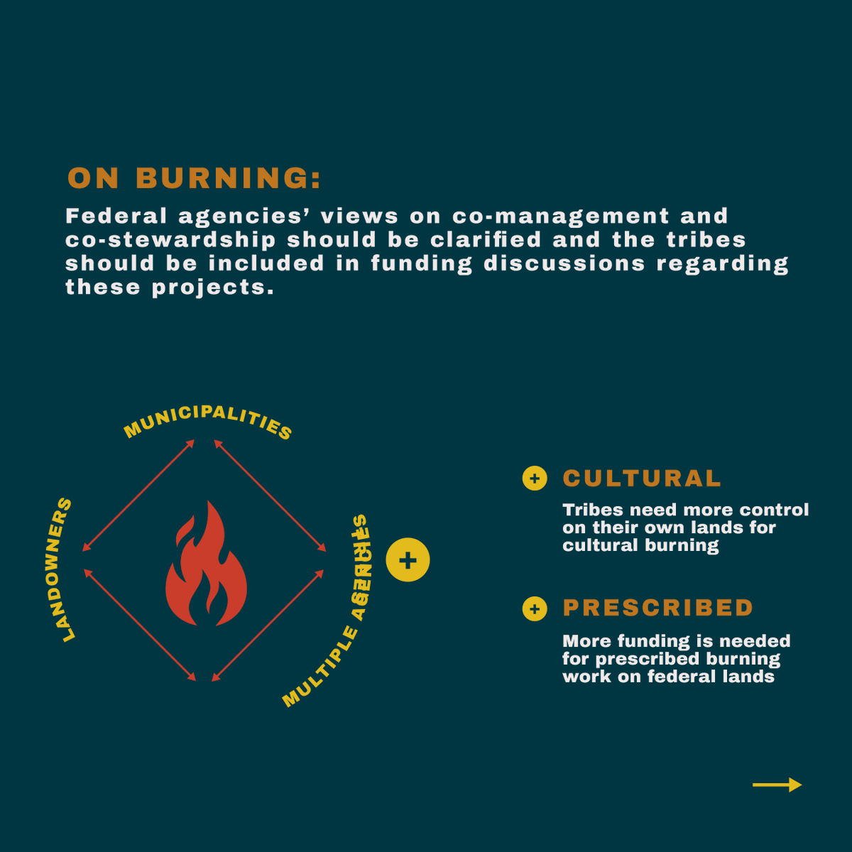Intertribal_TC's tweet image. Tribes are bringing innovation to forest management through cultural stewardship. 🚨But they need more support from federal agencies for the work to continue.🚨 Explore more in an ArcGIS StoryMap on Tribal Forestry: arcg.is/0fn985 #BIA #IFMATIV #Forestry