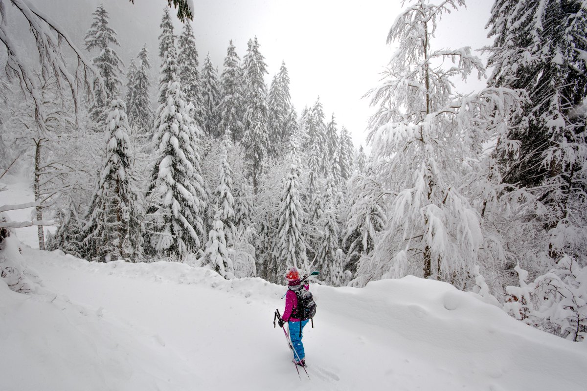 AlpsAccom's tweet photo. Hello January! It's the month of:
❄️ Cold powdery snow
⛷️ Quiet slopes
🚠 Few lift queues (often none at all!)
🏠 Cheaper accommodation and maximum flexibility
---------
January special offers - Save up to 30%
https://t.co/i21bEc9XIO https://t.co/ctdI0LyvJO