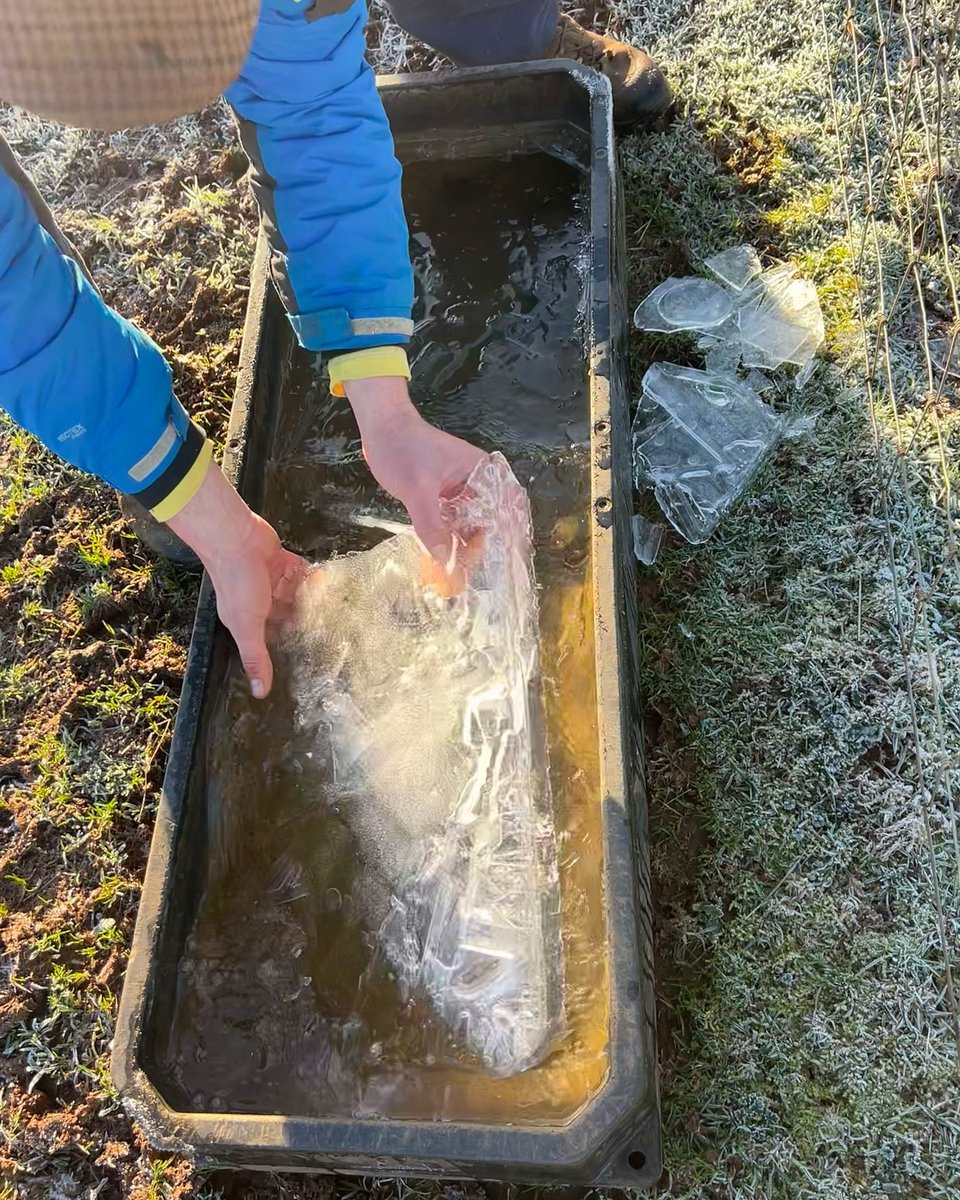 The last few days have been incredibly cold and difficult at the sanctuary. We’ve had snow, frost, heavy rain, and temperatures down to -4°C!. Whilst these freezing temperature are very challenging, they make for some excellent wintery photos.
#deanfarmtrust #animalsanctuary