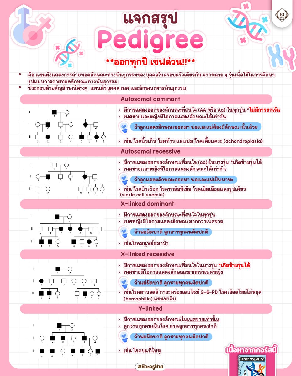 🧬สรุป Pedigree ออกทุกปี เซฟด่วน!!

พันธุศาสตร์ง่ายขึ้น 300% !!
ใช้ได้ทั้งทำเกรด ต่อยอดจนถึงสอบเข้า
✏️bit.ly/3MsPP50

#ชีวะครูฝ้าย #dek68 #dek69 #dek70 
#alevelชีวะ #สอวนชีวะ #NETSATชีวะ