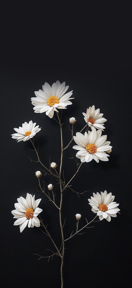 hdwallpapers888's tweet image. 🌸 Transform your screen with nature’s beauty! 🌷✨ Check out these stunning flower-inspired wallpapers that bring vibrant blooms to your phone. Perfect for a daily dose of freshness! 🌼🌺 #WallpaperDesign #FloralVibes #TechWithNature #aesthetic #wallpaper