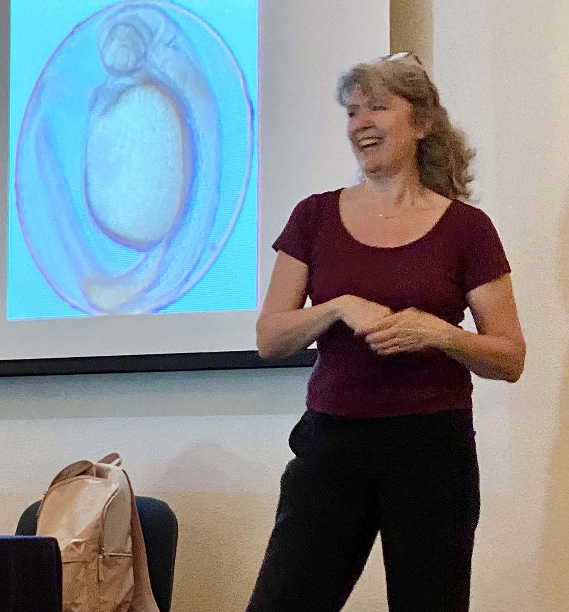 mayor_lab's tweet image. The @EMBO Dev Biol course in Quintay, Chile, dives into zebrafish embryos under the expert guidance of @CorinneHouart (@KingsCollegeLon) & @leovaldevo (@CIBumayor). Students are hands-on with exciting experiments, exploring the wonders of development! #DevBiol #Zebrafish