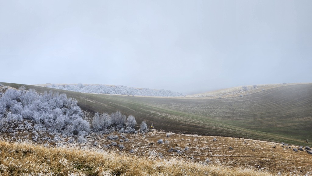 Mainstem Malt tweet media