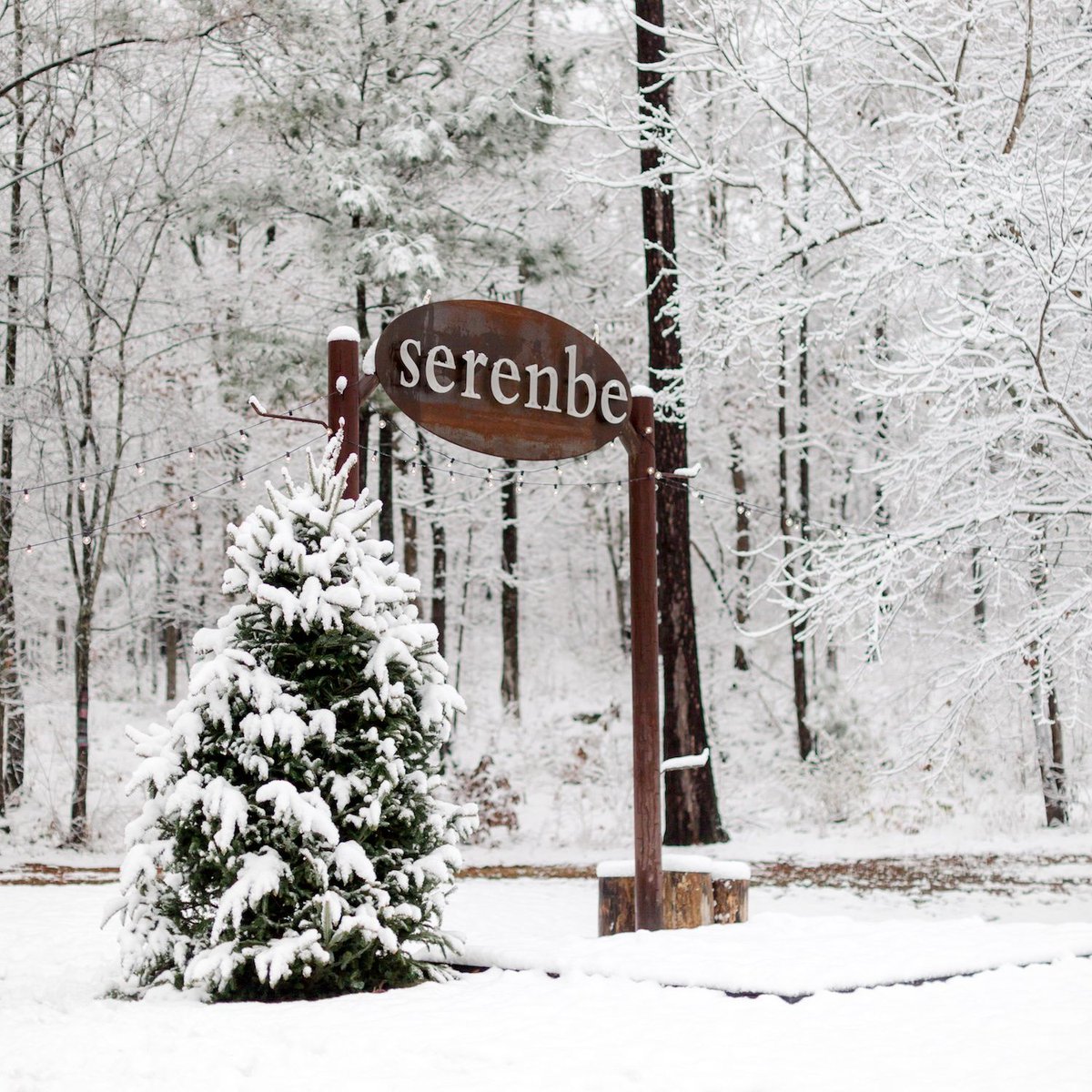 serenbe (@serenbe) on Twitter photo ⛄️ Snow whispers in the forecast... should we start manifesting? ✨
(sharing this cozy throwback while we dream) ❄️
📷 <a href="/aliharper/">ali harper</a> ⛄️ Snow whispers in the forecast... should we start manifesting? ✨
(sharing this cozy throwback while we dream) ❄️
📷 <a href="/aliharper/">ali harper</a>