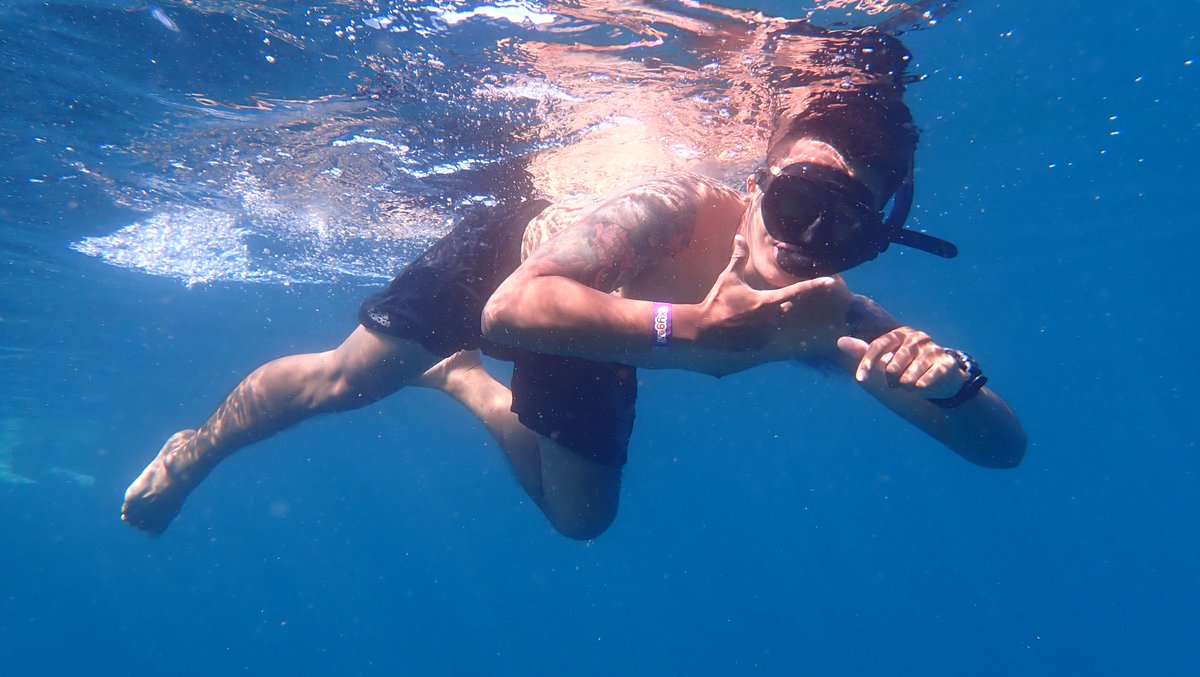 ดำน้ำเกาะเต่า