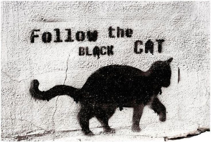 Black cats are not bad luck (@visualscat) on Twitter photo 