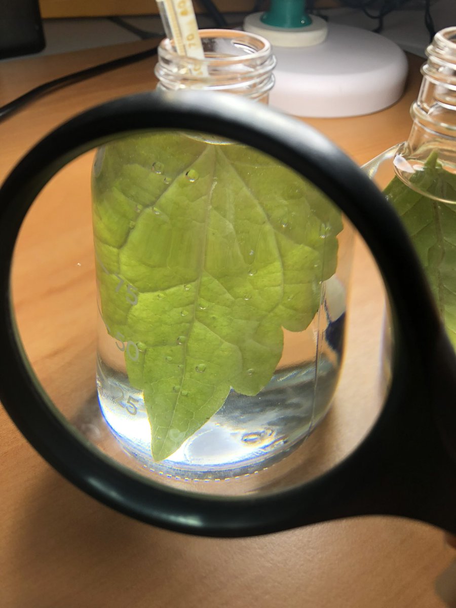 MISS_sciences (@miss_sciences) on Twitter photo 8/01 - Le mercredi, Ă la <a href="/MISS_sciences/">MISS_sciences</a>, pas de classes. On travaille sur les ateliers actuels dont modifie les contenus, ou alors on crĂ©e de nouvelles activitĂ©s. Ci-dessous, de quoi sâagit-il ??
On fait aussi de lâadministratif, mais chut⊠ce nâest pas super intĂ©ressant ! 8/01 - Le mercredi, Ă la <a href="/MISS_sciences/">MISS_sciences</a>, pas de classes. On travaille sur les ateliers actuels dont modifie les contenus, ou alors on crĂ©e de nouvelles activitĂ©s. Ci-dessous, de quoi sâagit-il ??
On fait aussi de lâadministratif, mais chut⊠ce nâest pas super intĂ©ressant !