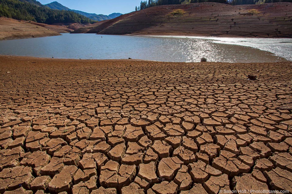 MarioNawfal's tweet image. 🇺🇸BURIED IN RED TAPE: CALIFORNIA’S $2.7 BILLION WATER STORAGE FAILURE

In 2014, voters handed California $2.7 billion under Prop 1 to secure the state’s water future with new storage projects. 

10 years later, not a single reservoir is complete.

The centerpiece, Sites…