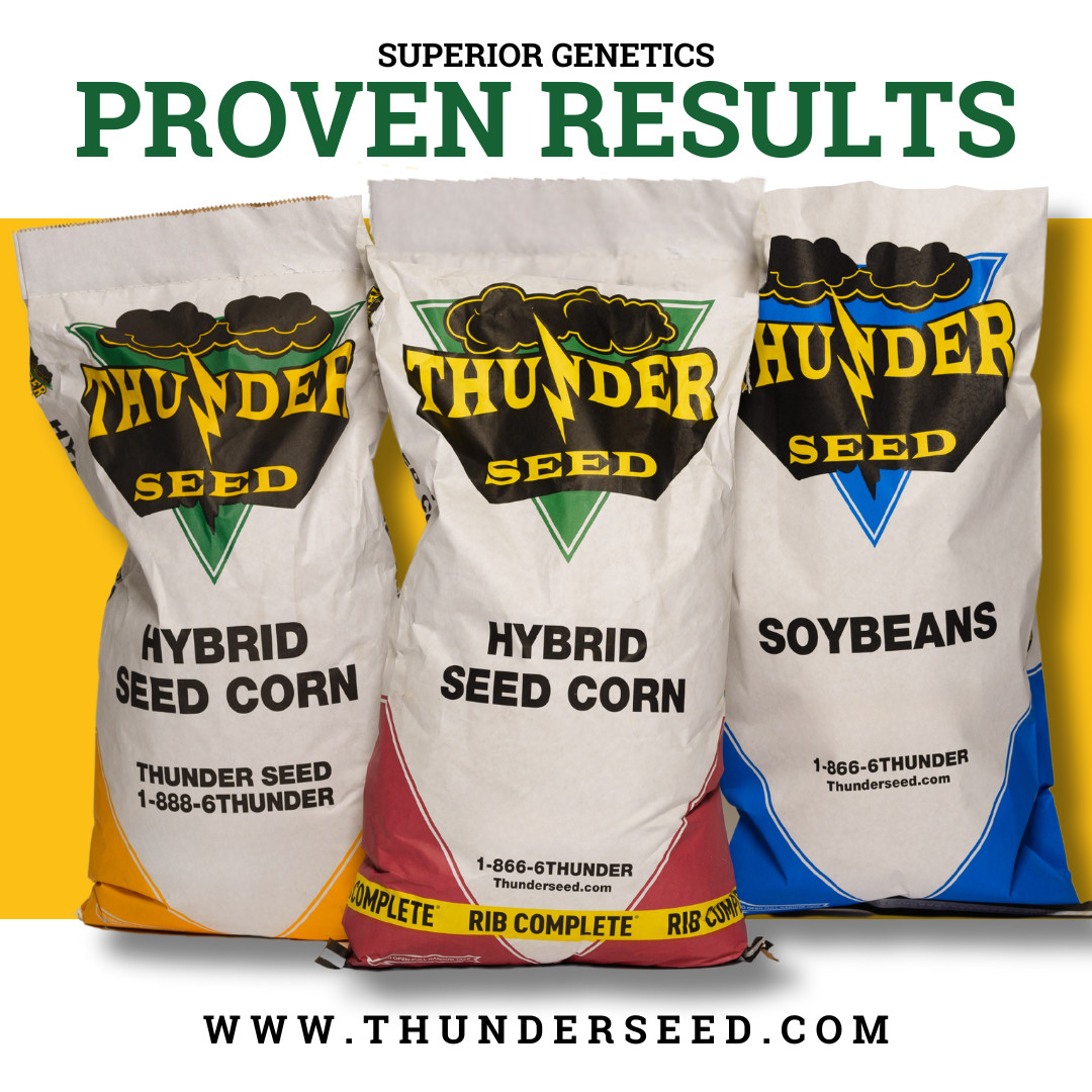 Thunder Seed tweet media