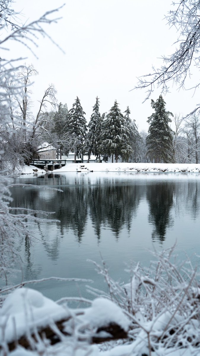 snow day wallpapers ☃️