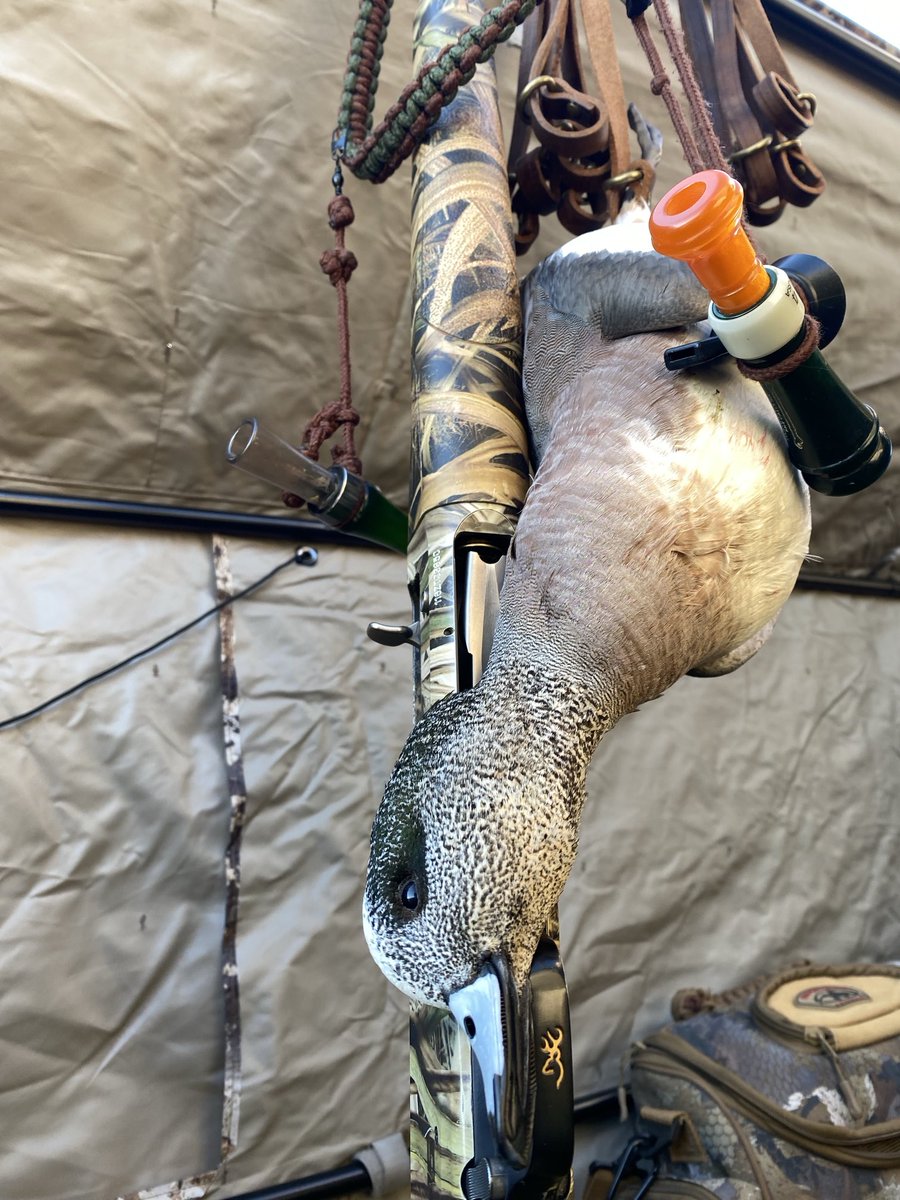 SuzieQuackers2's tweet image. Big Boys almost gave it up! We take the one lonely Widgeon that did it right over the Wheat! My favorite Hat too! #Hoorah #HuntingFeedsMySoul