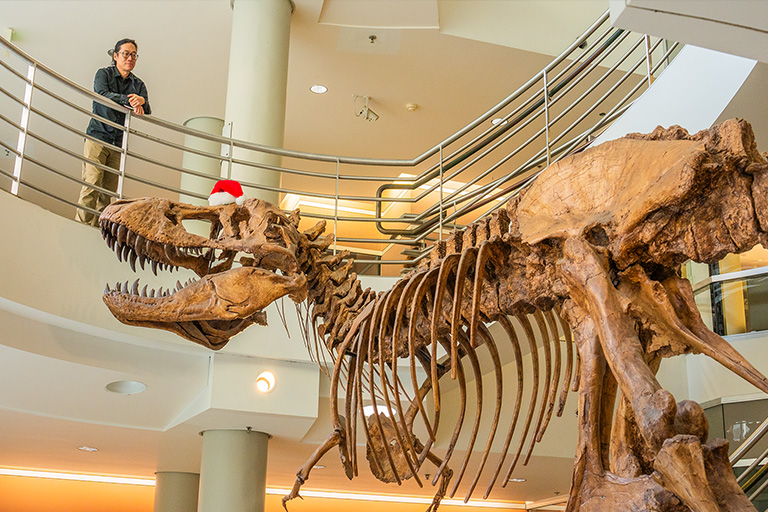 UCBLettersSci's tweet photo. 🎧 New podcast from @UCBerkeley! Think you know what dinosaurs were like? Think again! 🦖 🤯 Hear @BerkeleyIB associate professor Jack Tseng share his insights on this episode of #BerkeleyTalks. https://t.co/GUbcewU284 https://t.co/RAZNtwIOhn