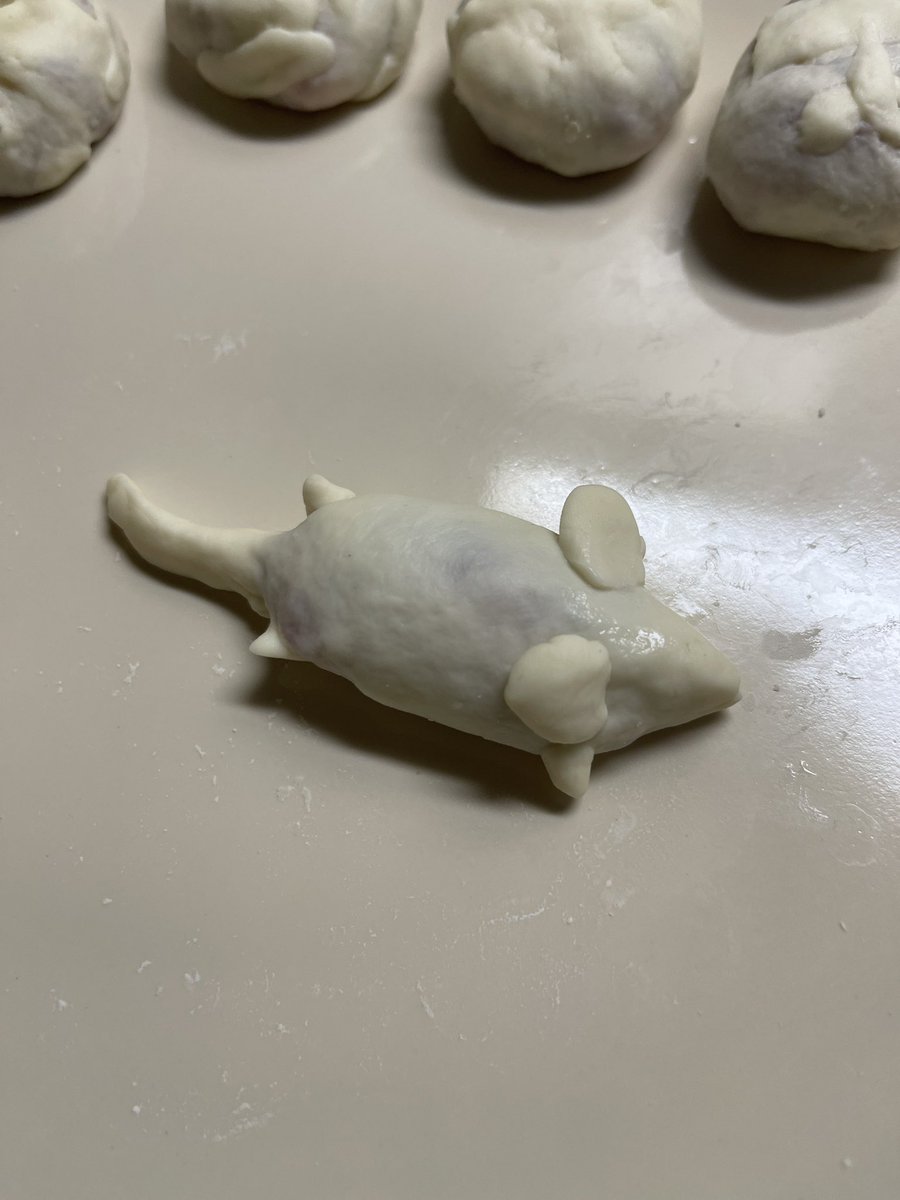 SmallEdamame's tweet photo. Home made rat/mice dumplings 🐀 https://t.co/N9QBwPQH9A