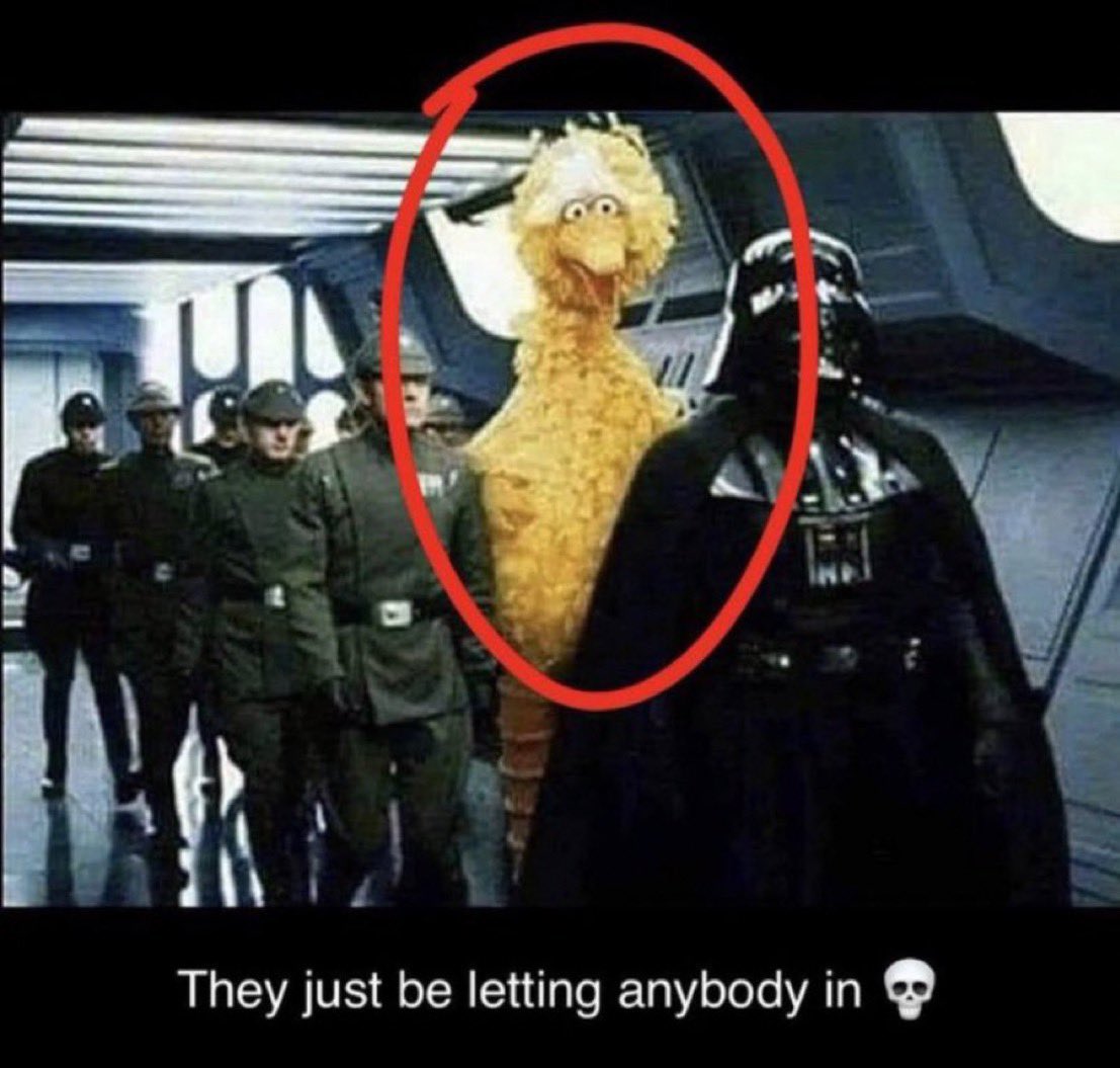 Shawn253059311's tweet image. 