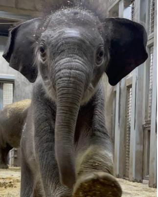 Website live!! jetsolana.com

Operationally, blue tick is back to being under review as we have some aligning to do with the visuals. Dex's will be sorted this evening!