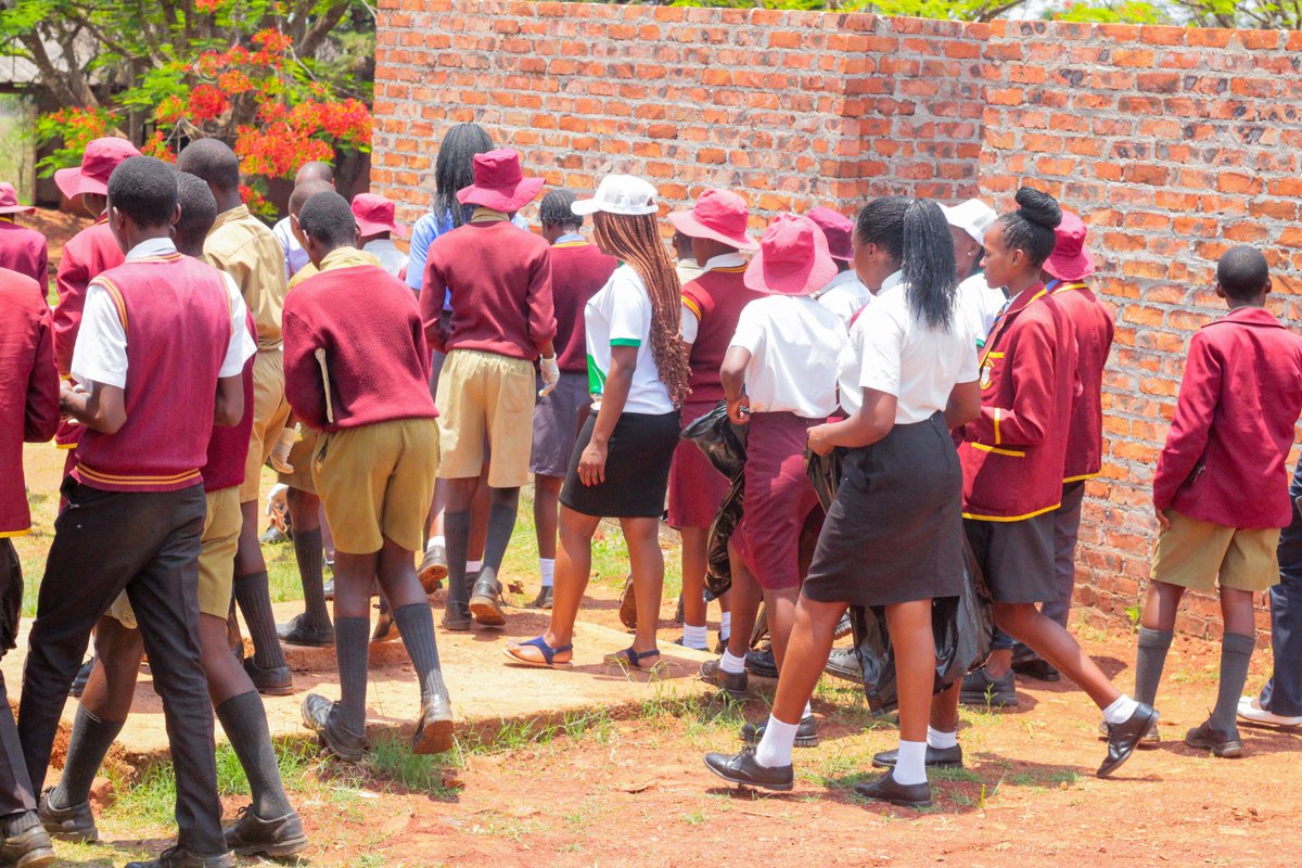 The Environmentalist tweet media