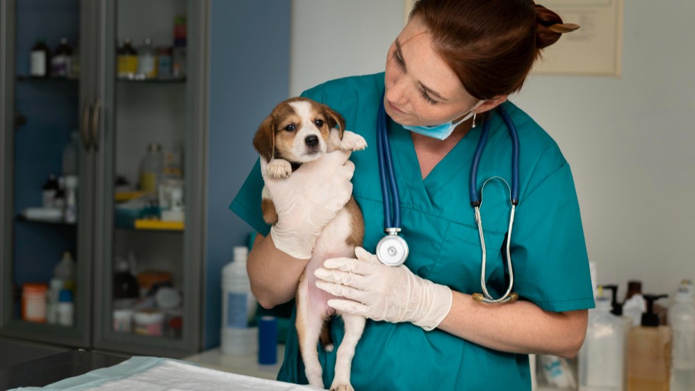 Revista Argos tweet media