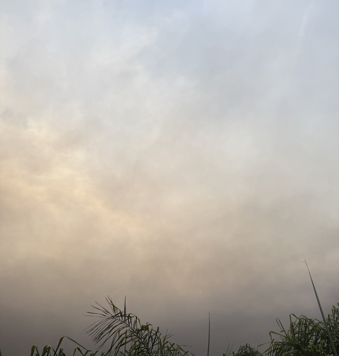 As Angelenos start their Wednesday morning, there will be notable impacts to air quality with winds pushing smoke across the Los Angeles area.

Please limit your exposure by remaining indoors with windows and doors closed and wearing a properly fit mask.