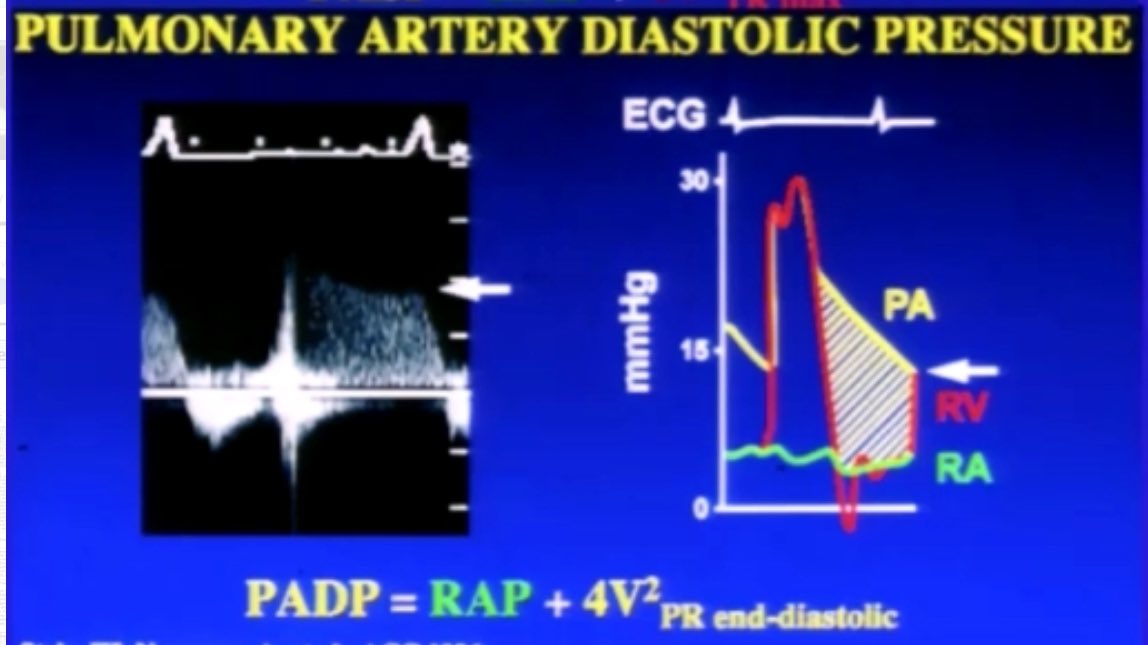 Ritu Thamman MD tweet media