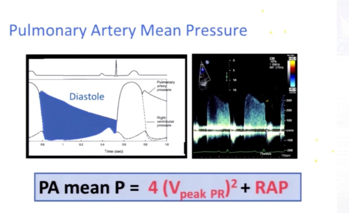 Ritu Thamman MD tweet media