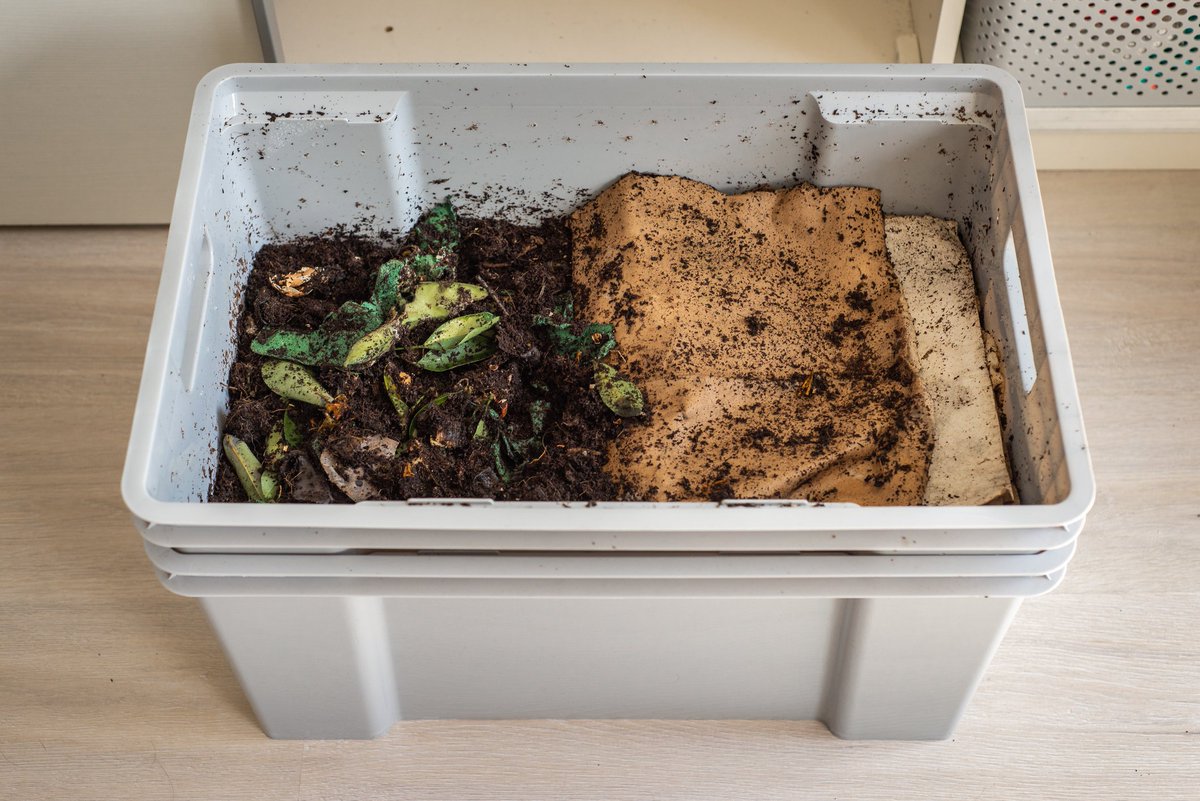 CompostingWorm's tweet image. You don't need to buy a fancy #vermicompost bin to get started. You can easily make one for free- or next to free!
compostingwithredworms.com/how-make-worm-…