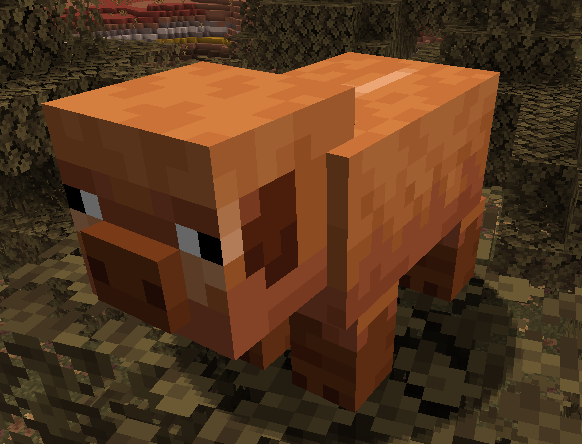 SlackowYT's tweet image. I thought that was donald trump