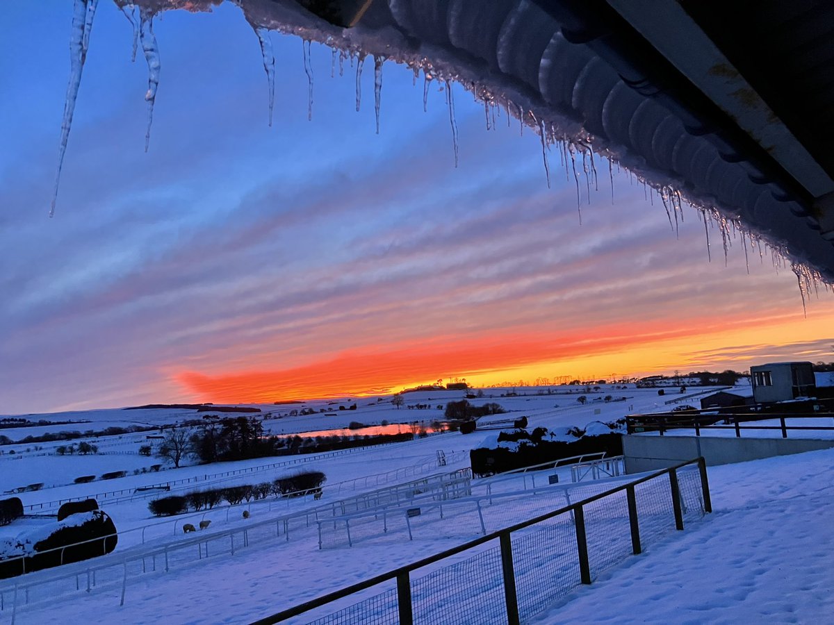 It’s currently -4° but at least we can take good photos… 🥶📸