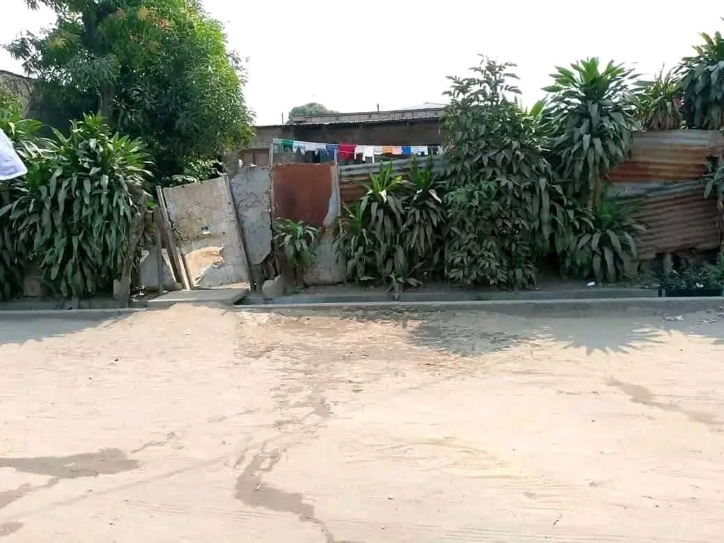 A vendre 
Demi parcelle / ville Brazzaville 
Quartier Makelekele très proche des dalettes, et bien placé 
Composé de:
- Une maison de chambre salon
- Plus 2 Studios 
Prix fixe: 12.000.000 XAF non négociable
Contact par  ☎️ 06673 40 32 et 05571 11 27 pour plus d'informations