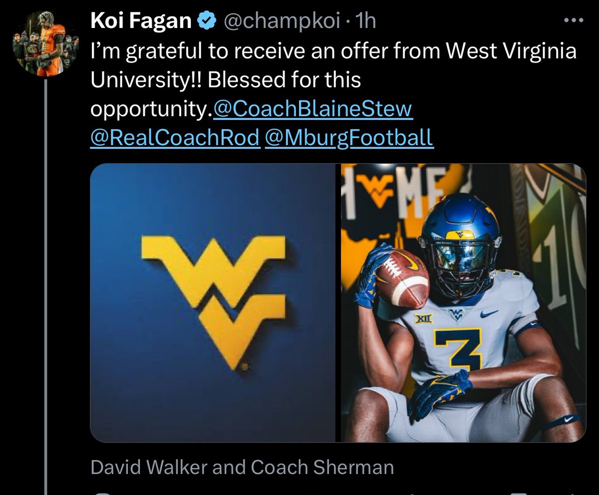 MHSDogPound (@mhspound10602) on Twitter photo 