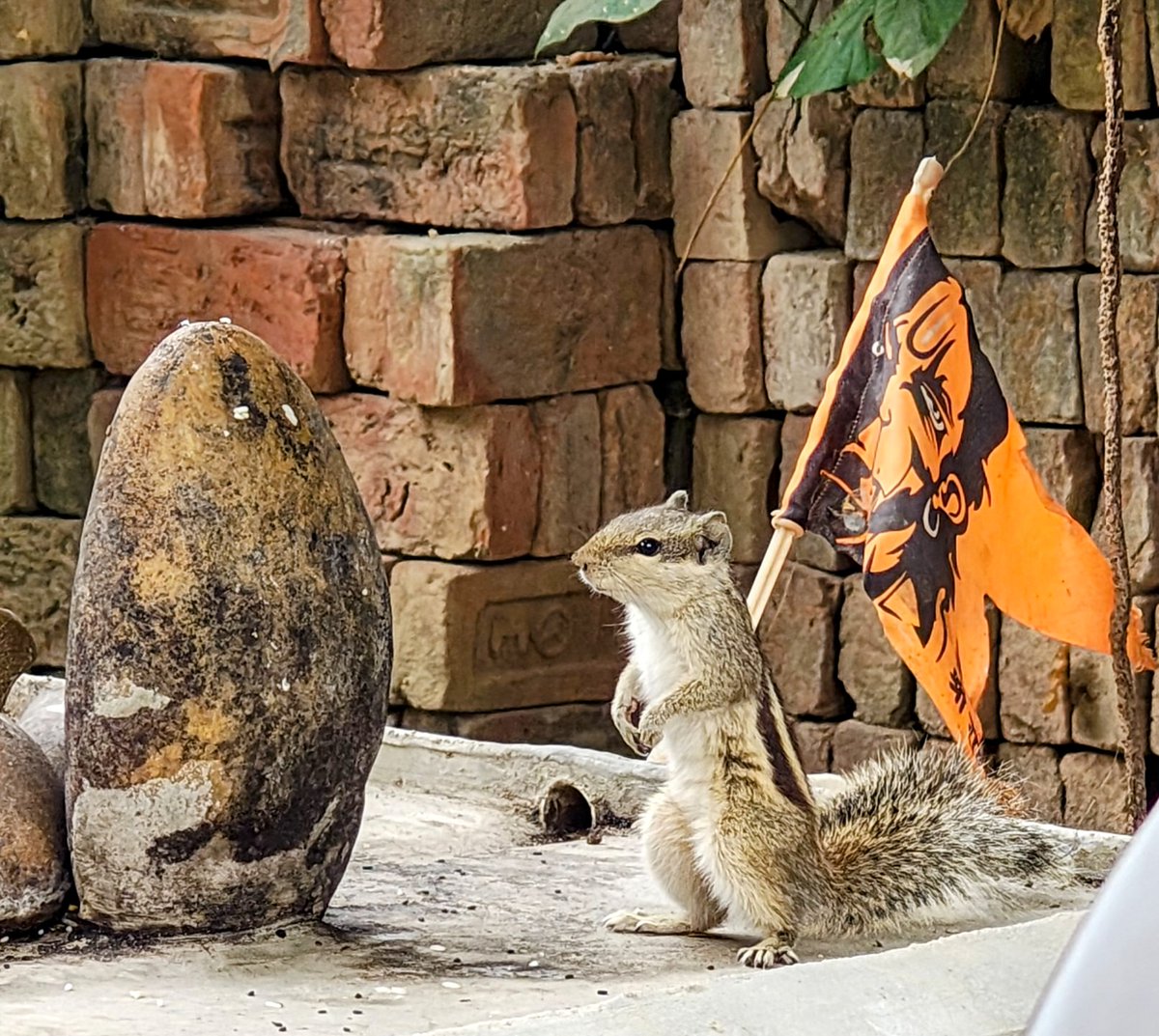 Name it❤️
#myclick