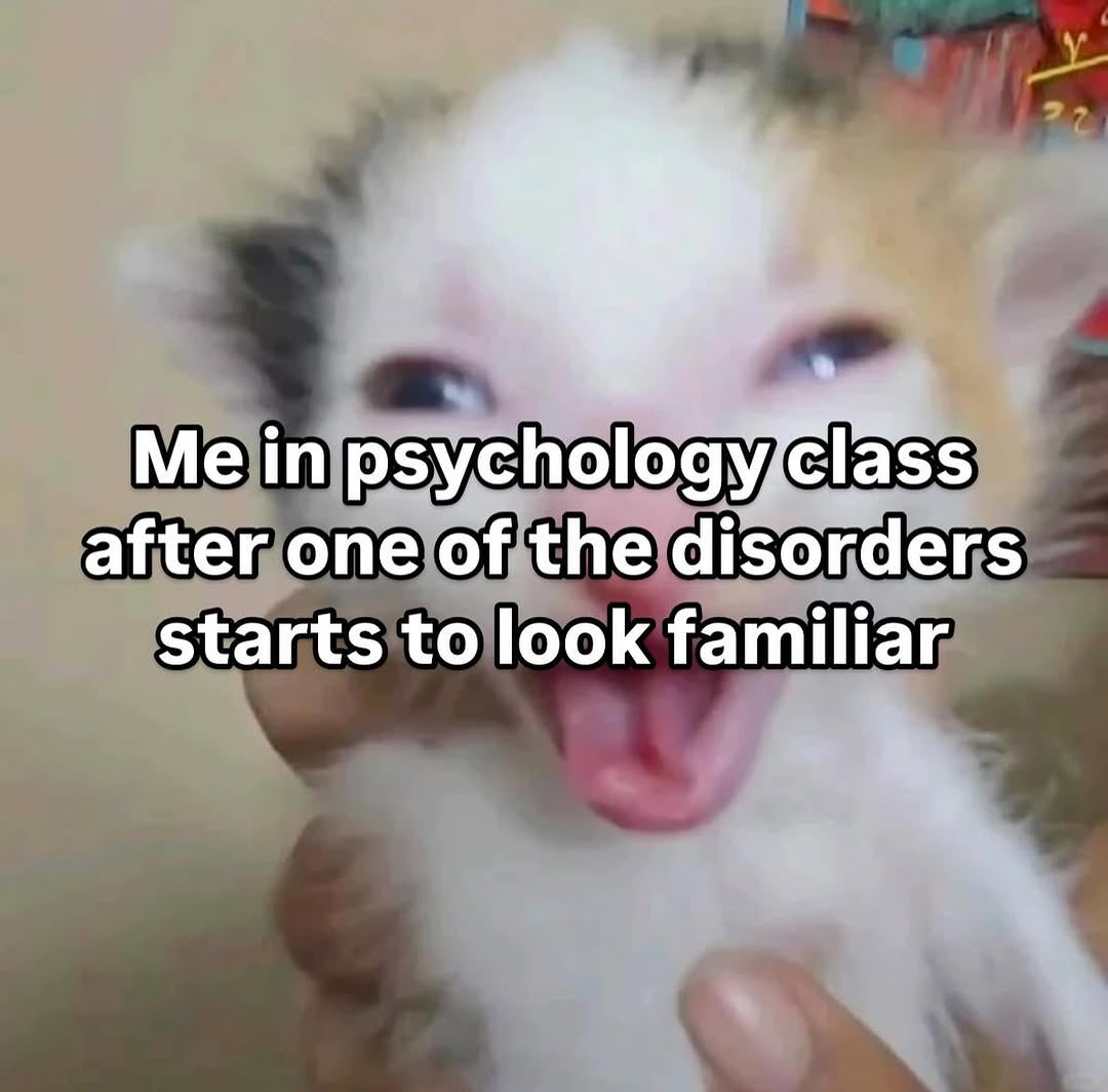 literallymecats's tweet photo. https://t.co/UFj1t0zypp