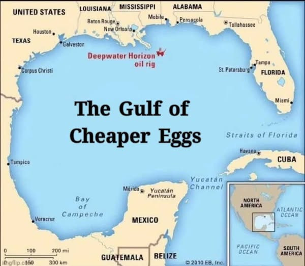 #TrumpIsUnfitForOffice #Trump #GulfOfMexico
