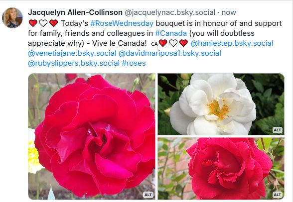 Jacquelyn Allen-Collinson 🏞️🌼🇪🇺🎸 tweet media
