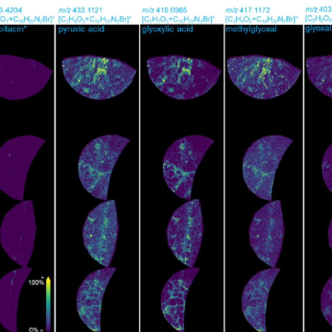 Environmental Molecular Sciences Laboratory (EMSL) (@emslscience) on Twitter photo Read about the RhizoMAP platform, which <a href="/EMSLscience/">Environmental Molecular Sciences Laboratory (EMSL)</a> developed to enable researchers to trace & visualize complex metabolomic processes in the rhizosphere in the presence of the microbial community and in changing environments like drought conditions: bit.ly/4g3gDoJ Read about the RhizoMAP platform, which <a href="/EMSLscience/">Environmental Molecular Sciences Laboratory (EMSL)</a> developed to enable researchers to trace & visualize complex metabolomic processes in the rhizosphere in the presence of the microbial community and in changing environments like drought conditions: bit.ly/4g3gDoJ