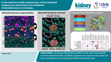 Kidney_Int's tweet image. In situ molecular profiles of glomerular cells by integrated imaging mass spectrometry and multiplexed immunofluorescence microscopy

doi.org/10.1016/j.kint…

#OpenAccess @VanderbiltCDB #renalpath #kidneypath #lipidomics #multimodalimaging