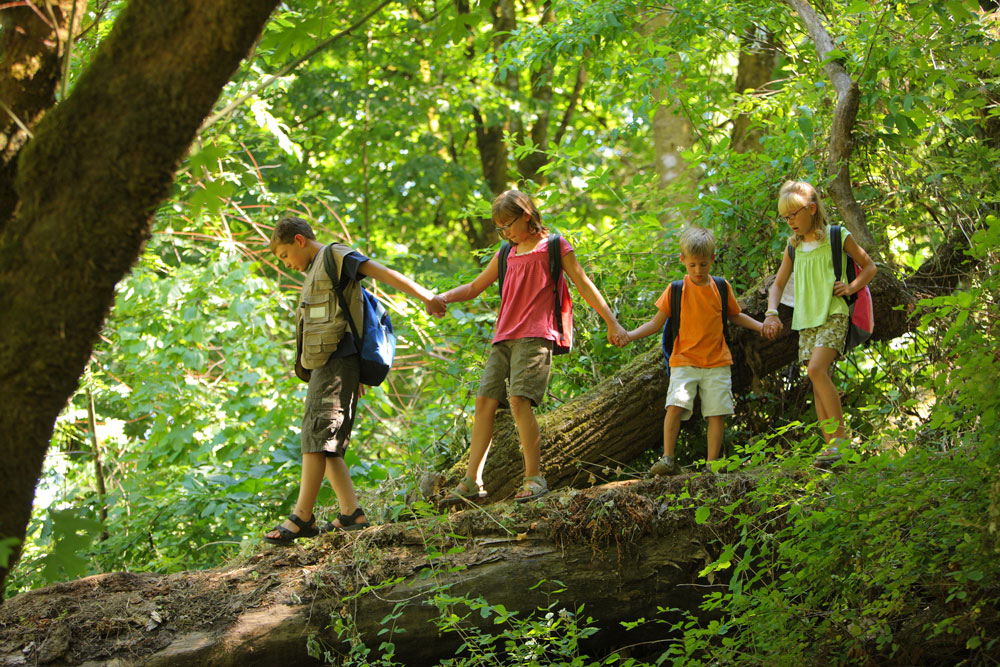 BCIRPU (@bcirpu) on Twitter photo Today there is a great article published in @nature
on the evidence behind why #riskyplay is good for kids, featuring <a href="/PFuselli/">Pamela Fuselli</a> <a href="/mbrussoni/">Dr. Mariana Brussoni</a> and other injury prevention experts! Today there is a great article published in @nature
on the evidence behind why #riskyplay is good for kids, featuring <a href="/PFuselli/">Pamela Fuselli</a> <a href="/mbrussoni/">Dr. Mariana Brussoni</a> and other injury prevention experts!