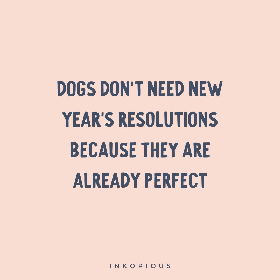Inkopious tweet media