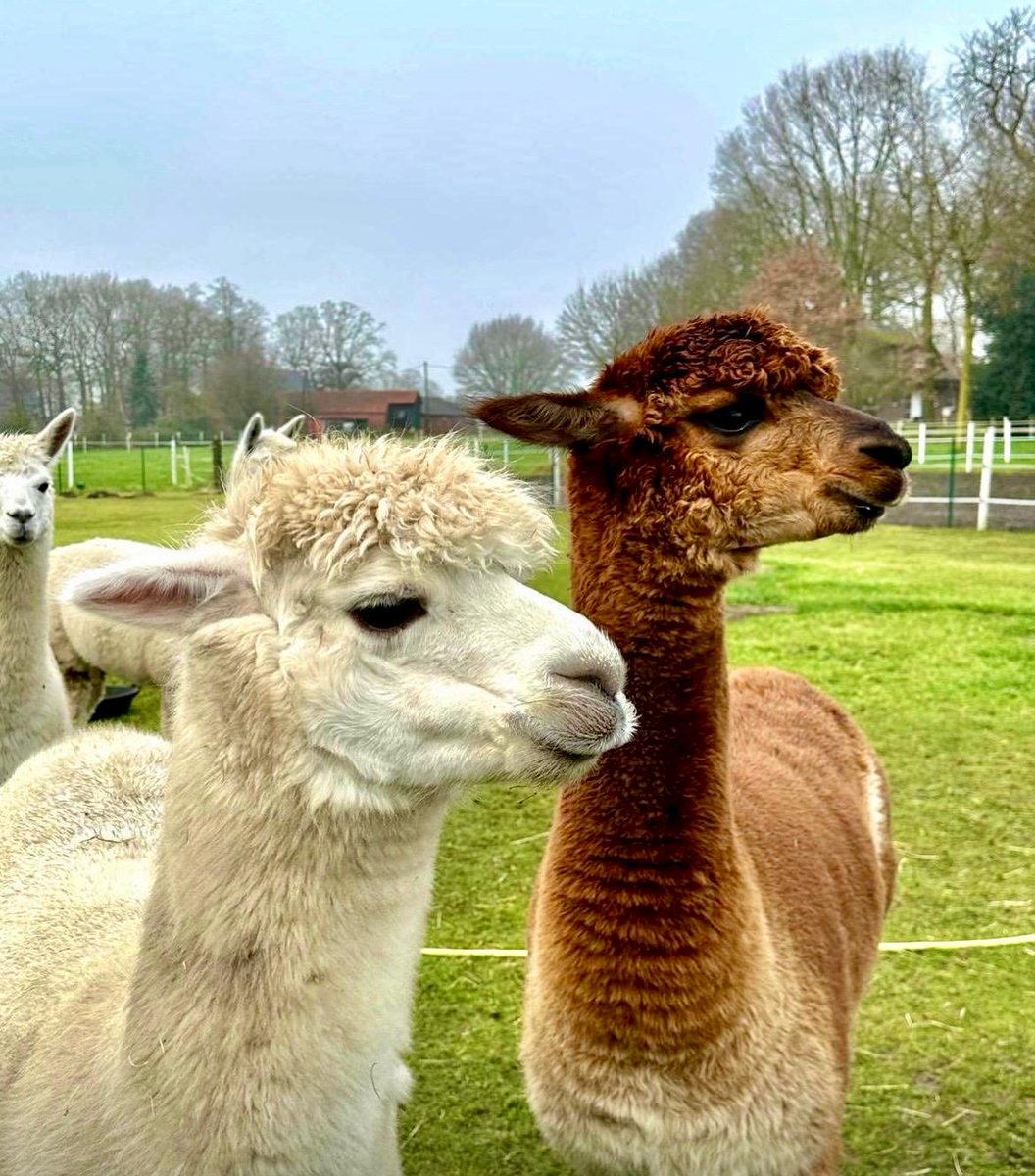 Wir schauen nun voran und nicht zurück !!⭐️ Nachti 😴