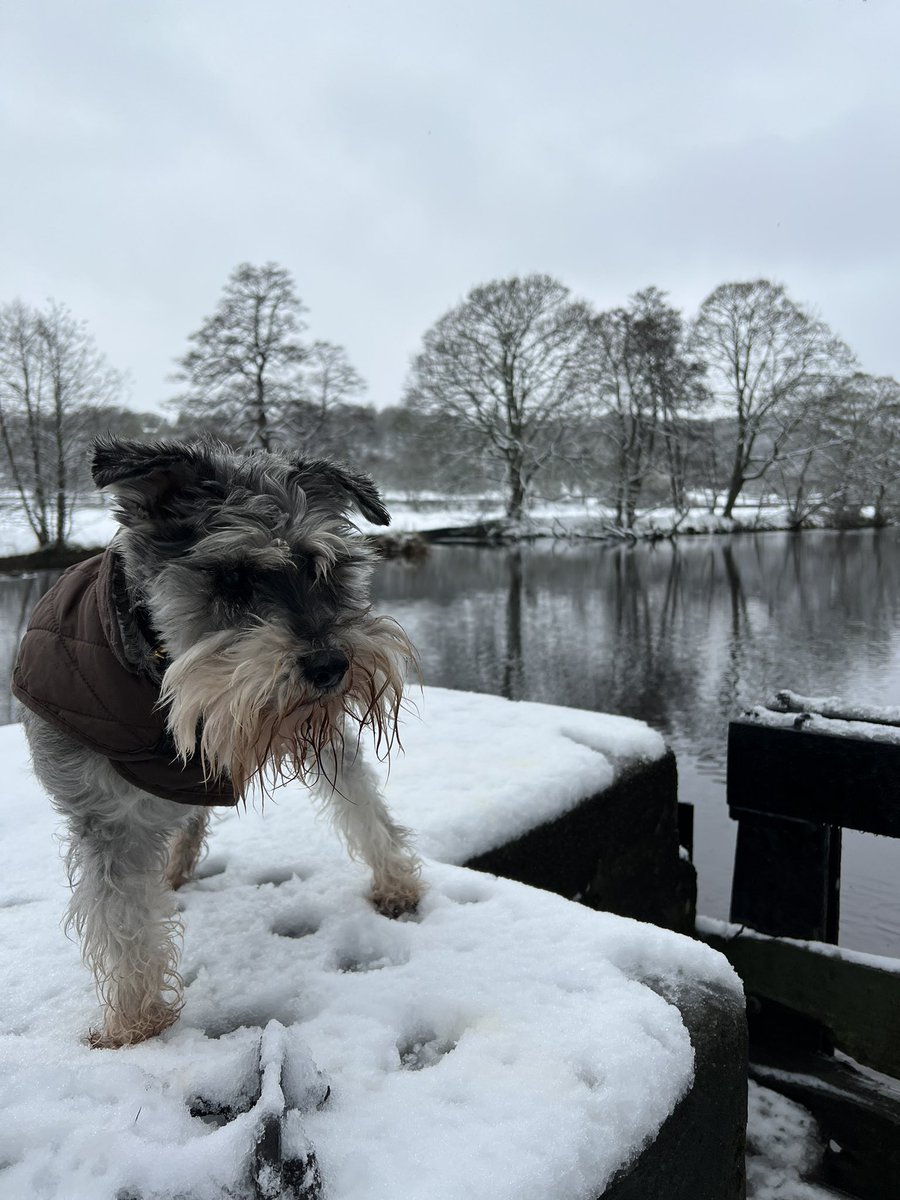 Brrrrrr  little on the chilly side here today, keep warm everyone 🥰🐾