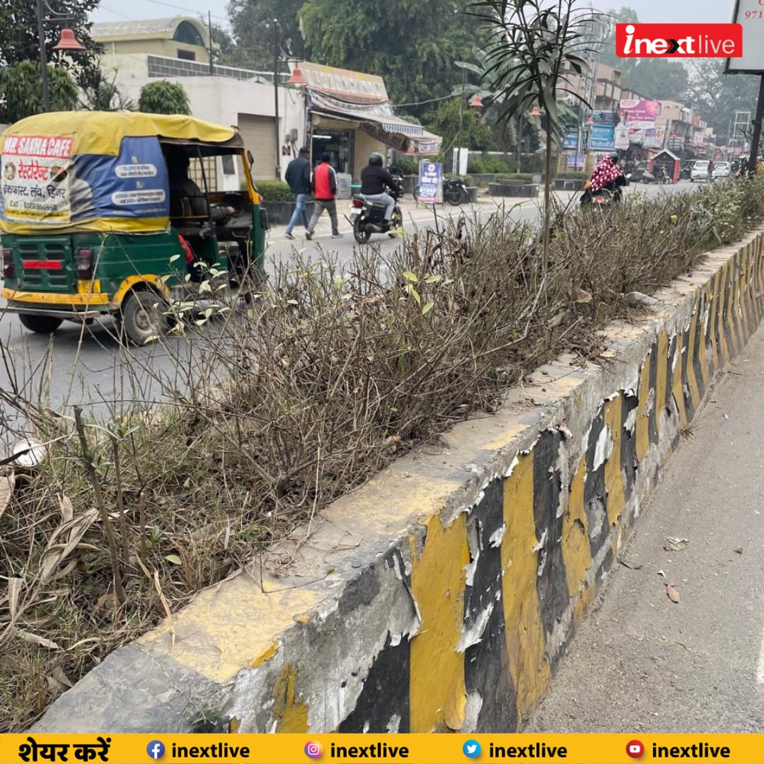 inextlive's tweet photo. #bareillynews रोड के डिवायडरों पर सुंदरता को बढ़ाने के लिए व प्रदूषण कम करने के लिए लगाए गए पौधे नगर निगम की लापरवाही से हो रहे बर्बाद. जिम्मेदार बेखबर...
#nnbareilly #Bareilly #Plant 
via: @VimalThakur07 https://t.co/SgY0ygWBF7